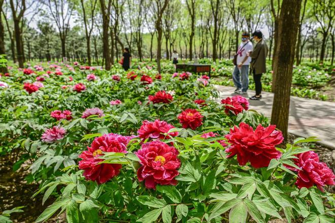 2：三大+书市+特色小镇打卡文旅新地标九游会网址是多少120小时玩转副中心-(图7)